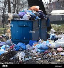 Best Dumpster Rental Services  in Elon, NC